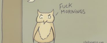 I partied all night with this awesome owl. Fuck mornings.