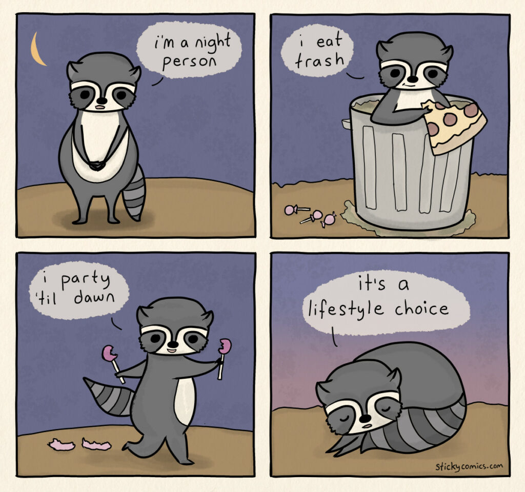 Comic of raccoon doing racoon things at night. Racoon says: I'm a night person. I eat trash. I party 'til dawn. It's a lifestyle choice.